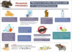 Профилактика геморрагической лихорадки с почечным синдромом