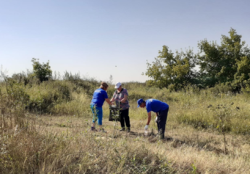Неделя экологических дел