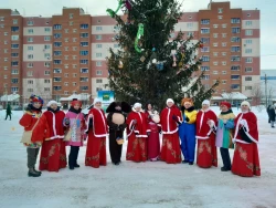 Елки 6 в Лазурном