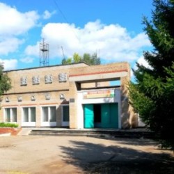 Н-Васильевская сельская библиотека