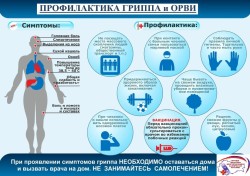 Профилактика гриппа