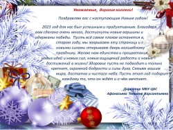 Уважаемые коллеги, с наступающим Новым годом!