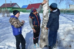 Игра — путешествие «Зеленый хоровод»