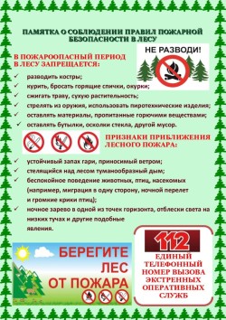 Памятка по правилам пожарной безопасности в летний пожароопасный период