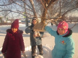 Акция «Не дадим замерзнуть птицам»