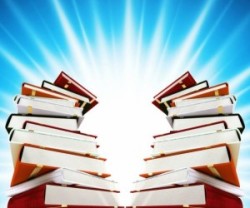«Дом с книжным сердцем»