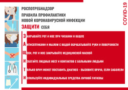 Меры профилактики коронавирусной инфекции, гриппа и ОРВИ