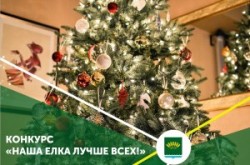 Итоги районного конкурса «Наша елка лучше всех»