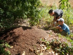 Экскурсия «Любимые уголки природы»