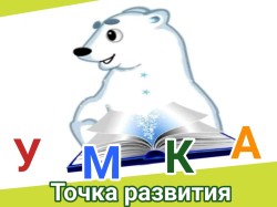 Проект Централизованной библиотечной системы Стерлитамакского района «Точка развития УМКА» стал победителем