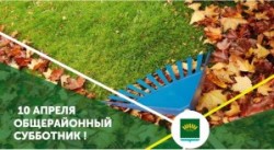 День Чистоты и Всероссийский экологический субботник