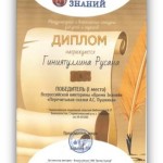 Тюрюшлинская модельная библиотека. Международный конкурс