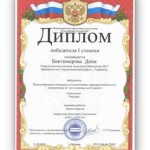 Тюрюшлинская модельная библиотека. Международный конкурс