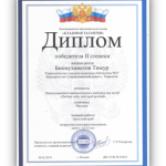 Тюрюшлинская модельная библиотека. Международный конкурс